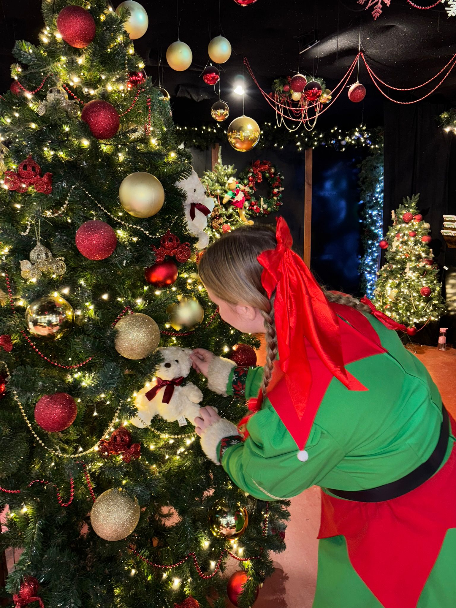Silver Christmas Experience 2026 – The Party Kingdom