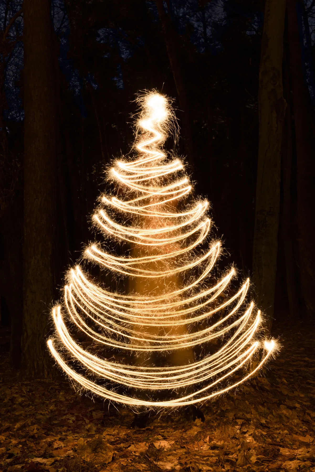 Spiral light painting of a Christmas tree shape in a dark forest setting.