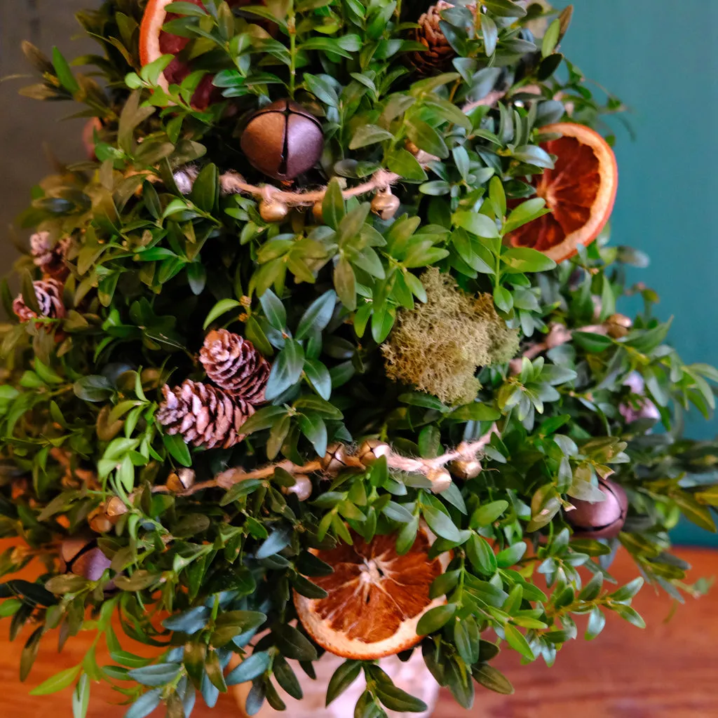 Sugar Plum Tree | Lexington, KY | Michler's Florist and Greenhouses –  Michler's Florist, Greenhouses & Garden Design