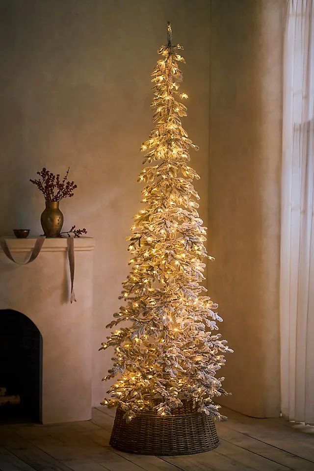 Terrain Artificial Flocked Pre-Lit Alpine Fir | AnthroHome