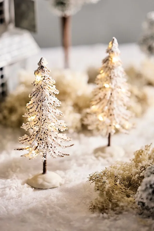 Terrain Illuminated Snowy Brush Trees, Set of 2 | AnthroHome
