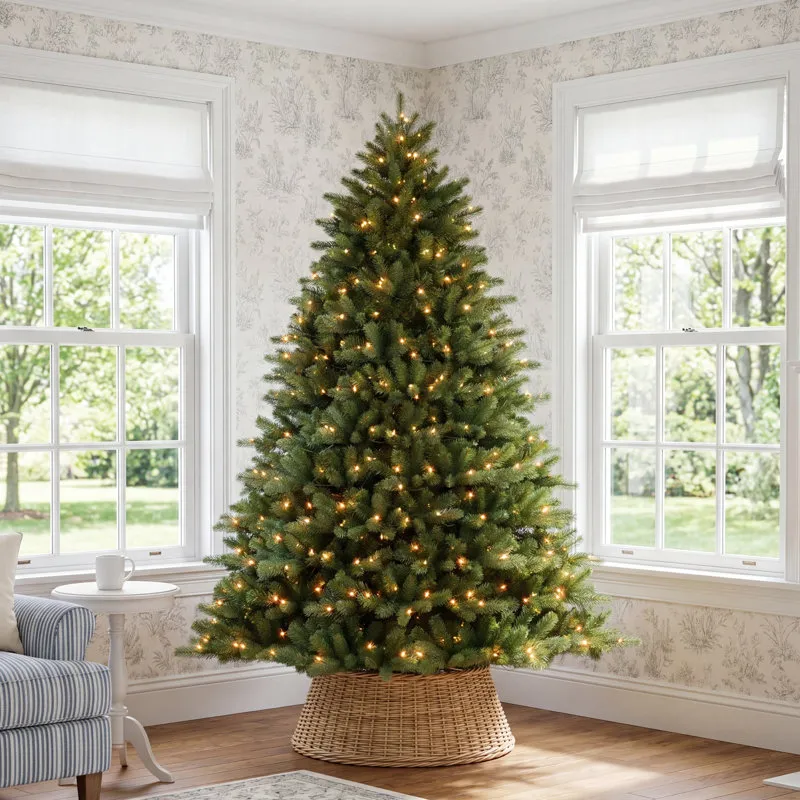 The Holiday Aisle Pre-lit Douglas Premier 6.5' Green Fir Artificial Christmas Tree with 550 Clear Lights with Stand