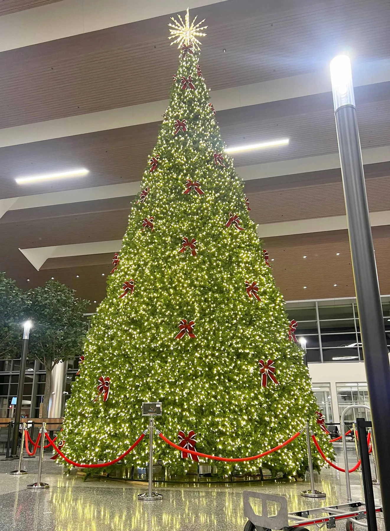The Holiday Magic of Commercial Holiday Lighting by Light Up Nashville | Light Up Nashville