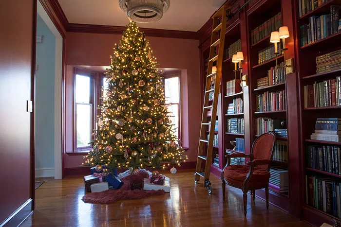 the-makerista-christmas-tree-traditional-modern-burgundy-mauve-grand-7w7a8243  - The Makerista