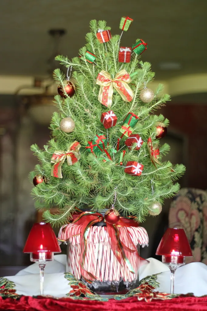 The Pinery | Pine