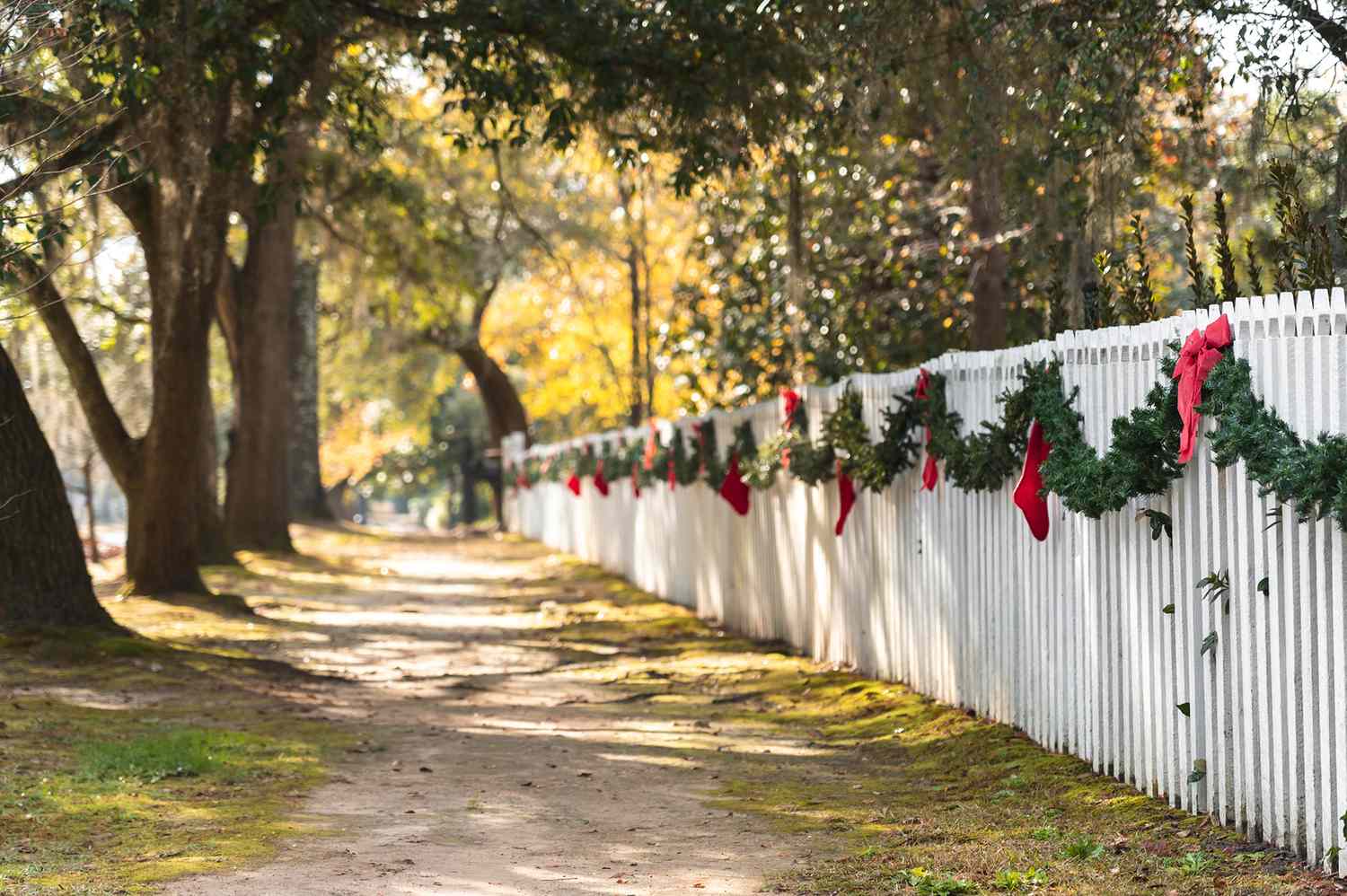 This Is the Best Place to Have Christmas in the South