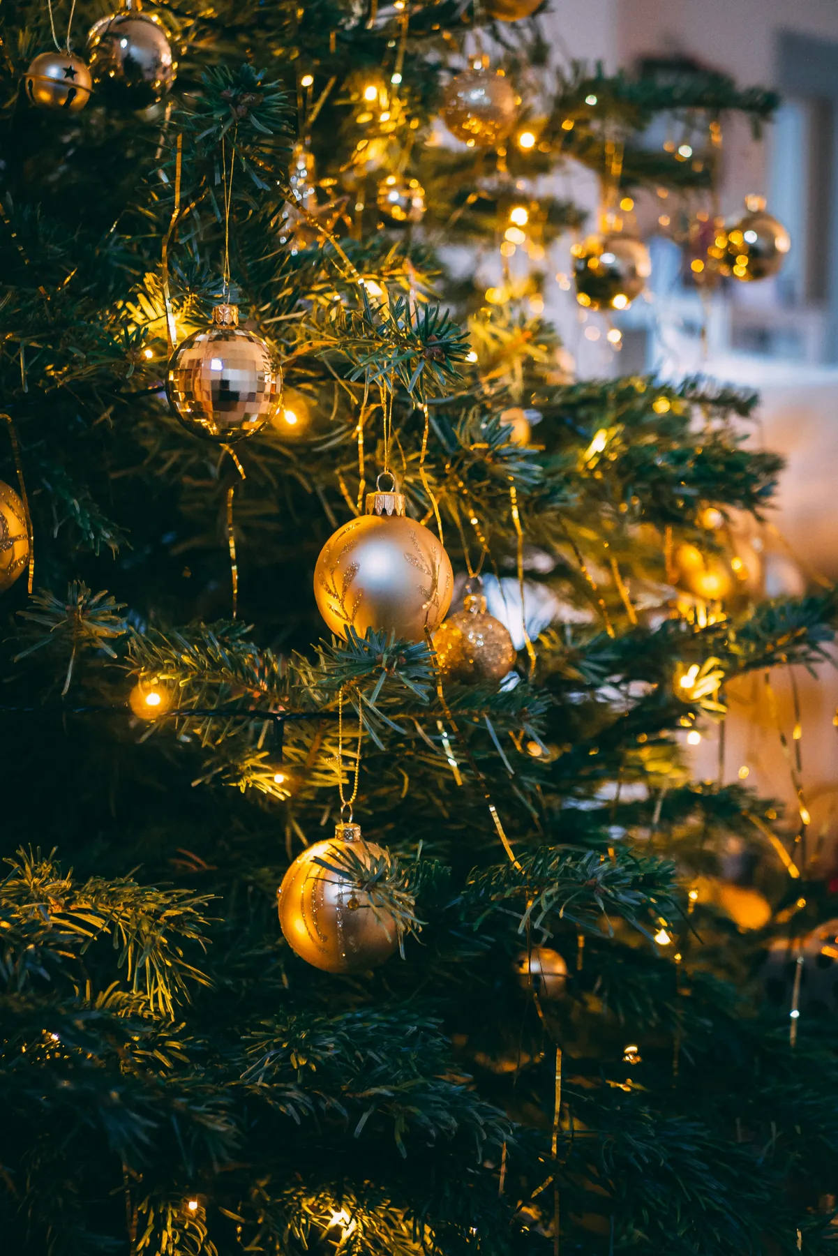 This year Christmas was spent with my girlfriends parents, and it made for a beautiful day. Especially because the colour scheme in their house makes for great photos… which is what it’s all about, ri