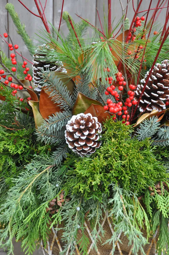 Three Dogs in a Garden: A Little Twist on a Holiday Planter