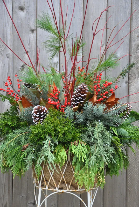 Three Dogs in a Garden: A Little Twist on a Holiday Planter