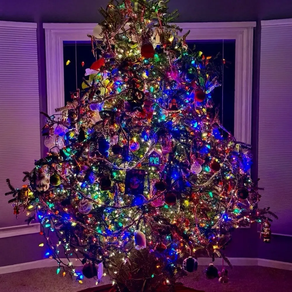 TOP 10 BEST Christmas Trees near Southgate, MI 48195 - Updated 2026 - Yelp