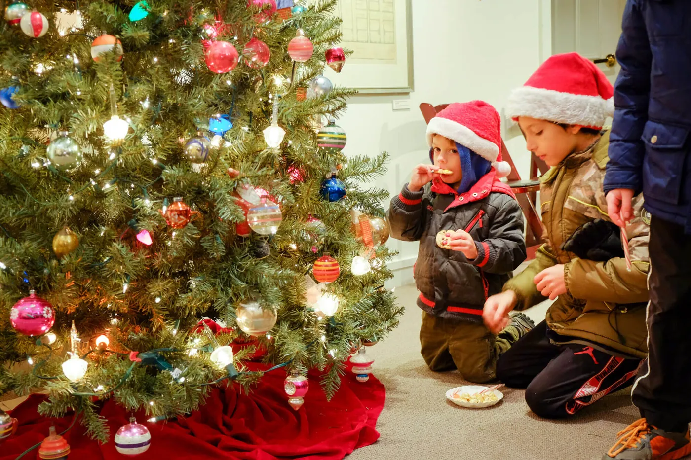 Trees of Historic Bethlehem | Historic Bethlehem Museums & Sites