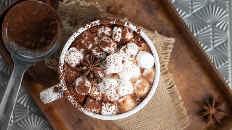 Unique Ways To Make Hot Chocolate Even Better