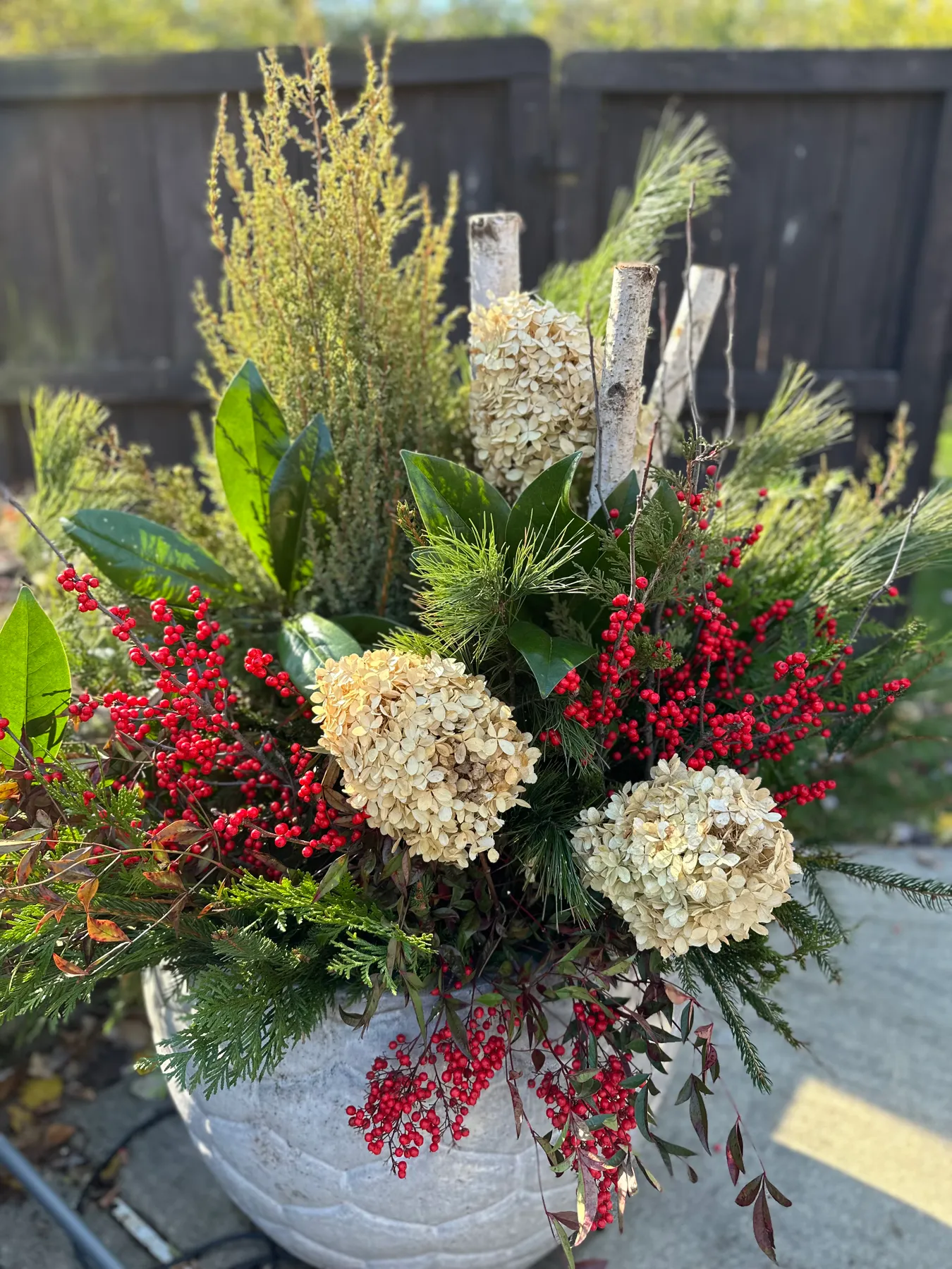 Winter planters - The Gardeness