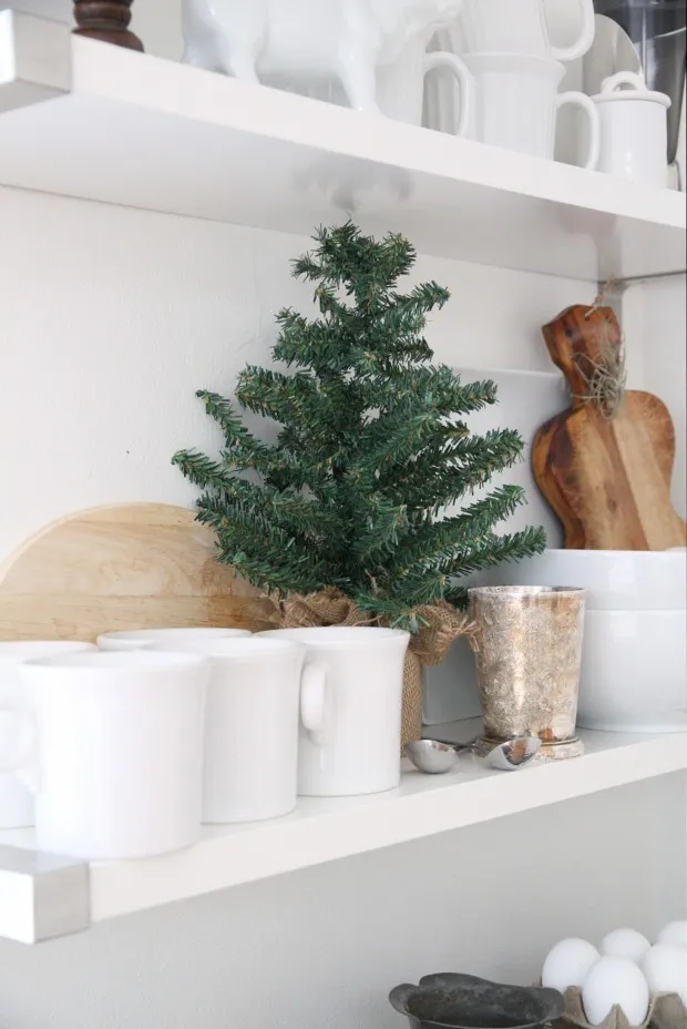 Winter Stems and Branches - zevy joy