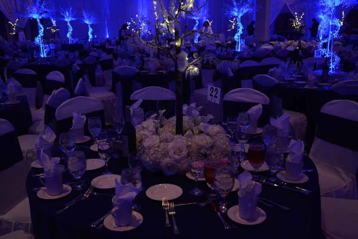Winter Wonderland | Memorable Moments