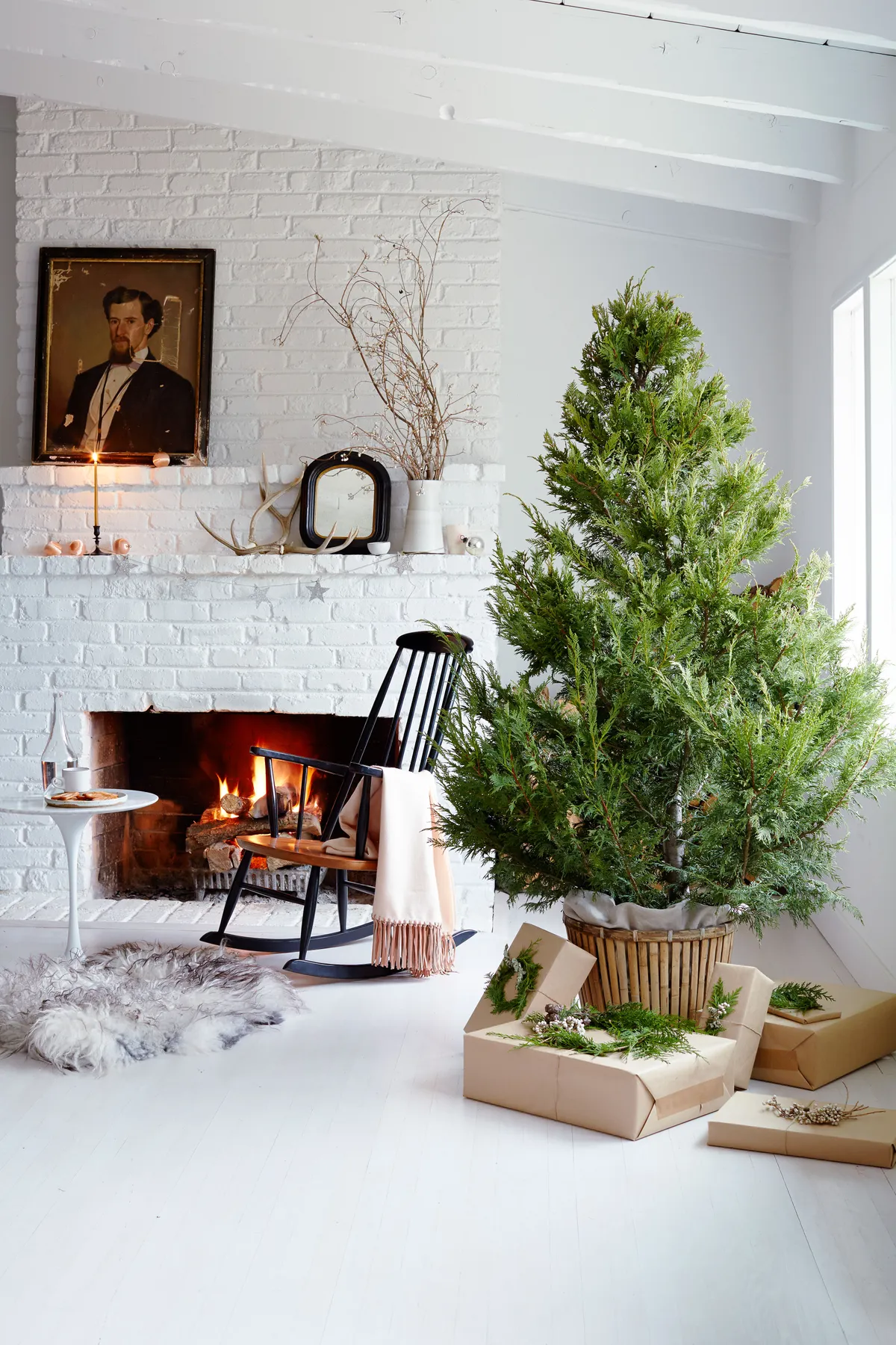 Your Guide to Buying Fir Christmas Trees for the Holidays – Sunset Magazine